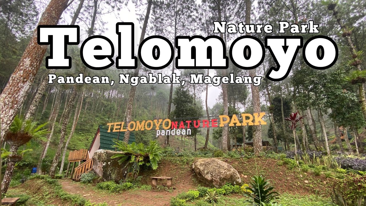 Telomoyo Nature Park: Petualangan Menakjubkan di Alam Pegunungan